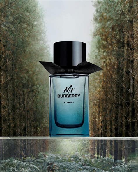 mr burberry uomo.note olfattive|burberry cologne for men.